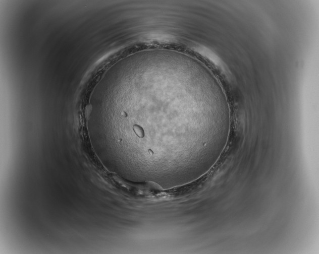 X0000098111112200804111049