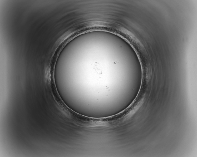 X0000098111113200804111049
