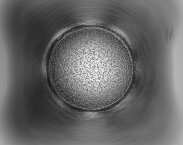 X0000098111114200804111049