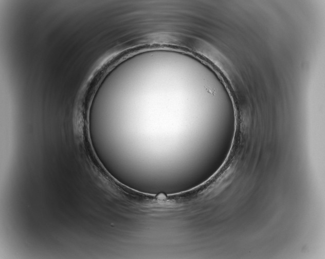 X0000098111115200804111050