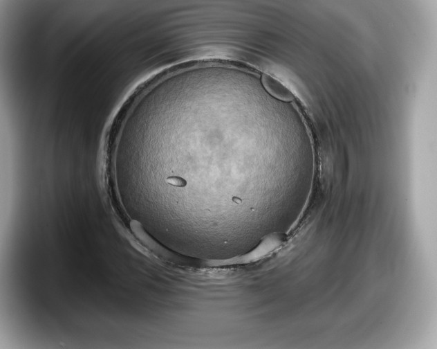 X0000098111116200804111050
