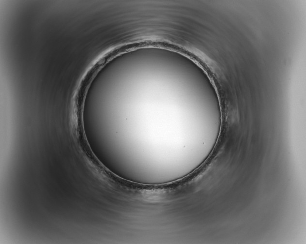 X0000098111118200804111050