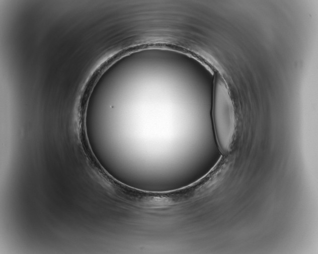X0000098111119200804111050