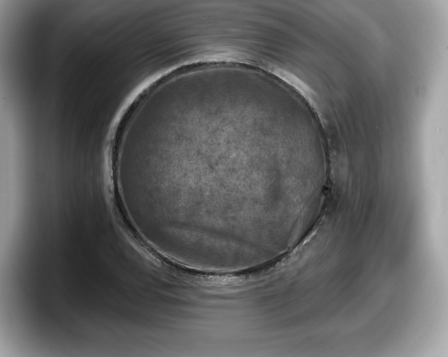 X0000098111120200804111050