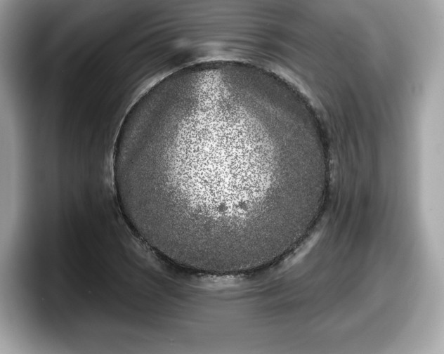 X0000098111121200804111050