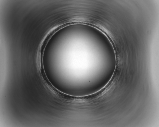 X0000098111123200804111050