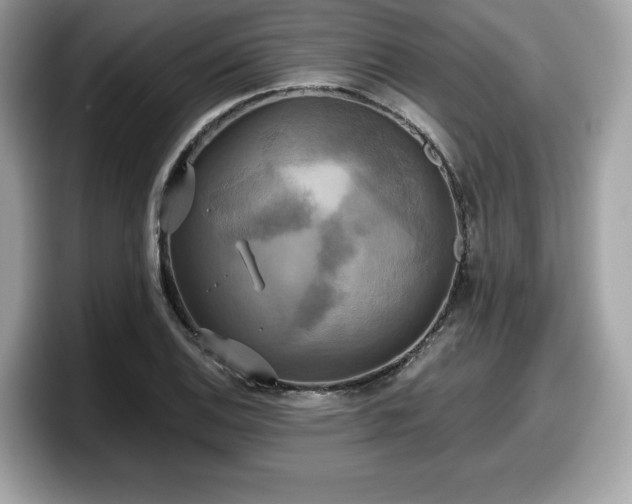 X0000098111124200804111050