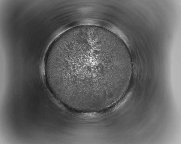 X0000098111125200804111050