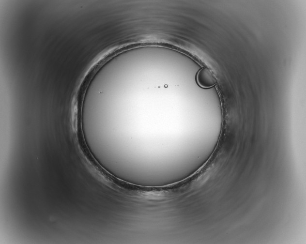 X0000098111126200804111050