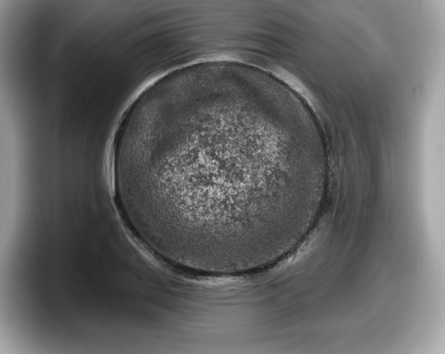 X0000098111127200804111050