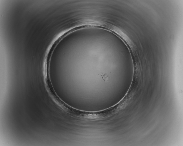 X0000098111128200804111050