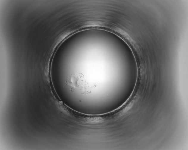 X0000098111129200804111050