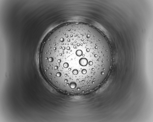 X0000098111130200804111050