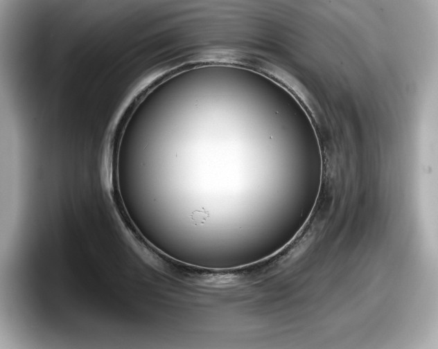 X0000098111131200804111050