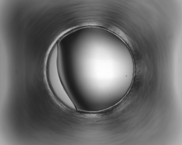 X0000098111132200804111050