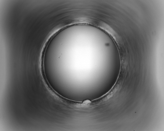 X0000098111135200804111050