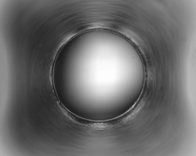 X0000098111137200804111050