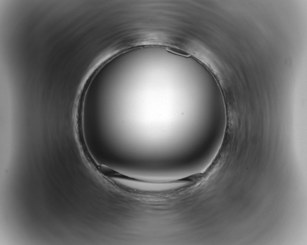 X0000098111138200804111050