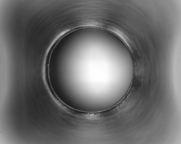 X0000098111139200804111050