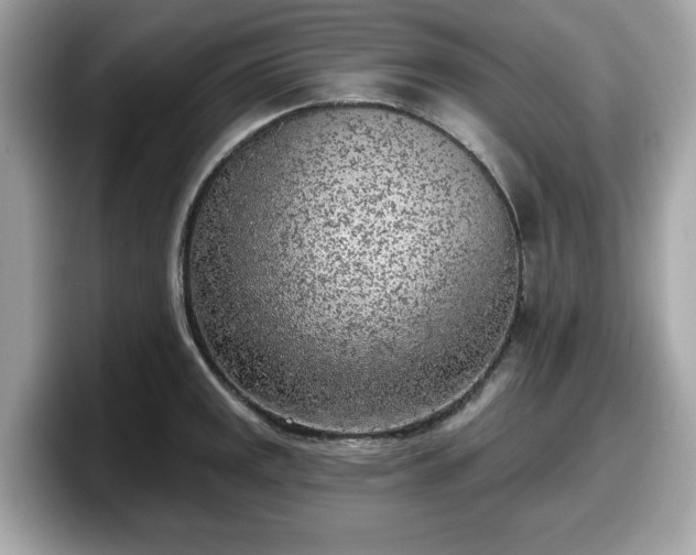 X0000098111141200804111050