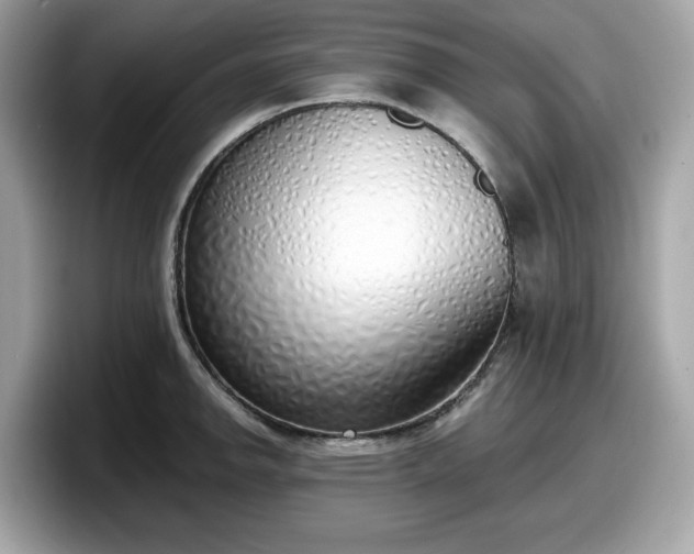 X0000098111142200804111050