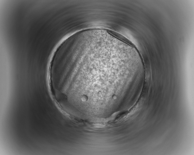 X0000098111144200804111050