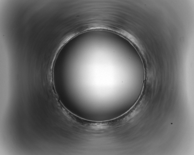 X0000098111145200804111050