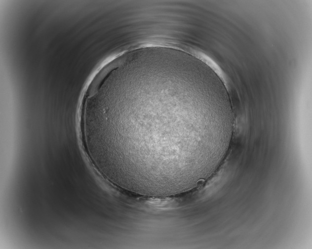 X0000098111146200804111050