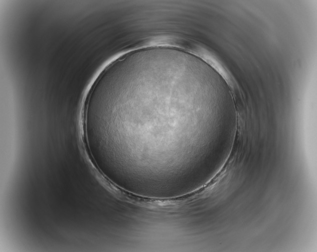 X0000098111148200804111050