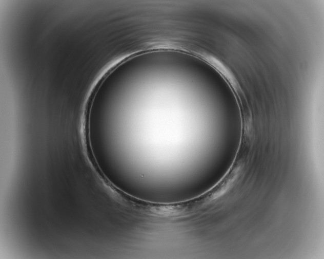 X0000098111149200804111050