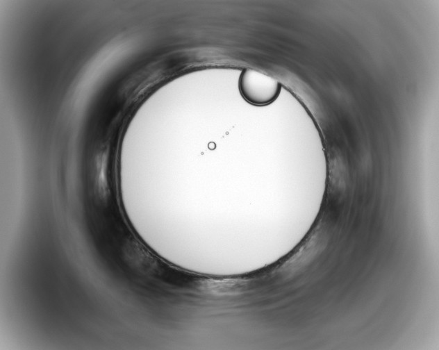 X0000098111150200804111050