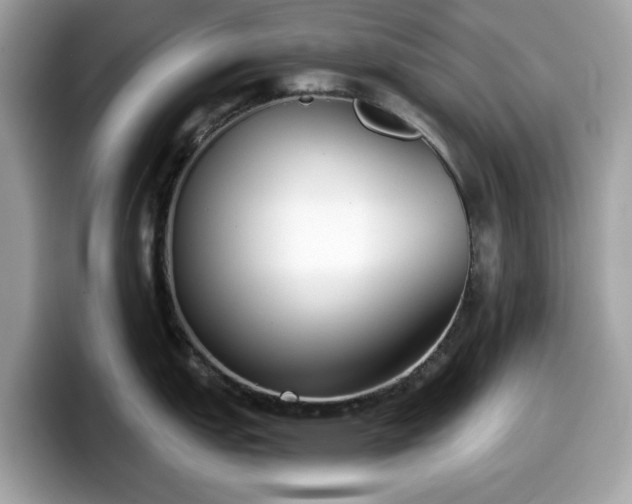 X0000098111151200804111050