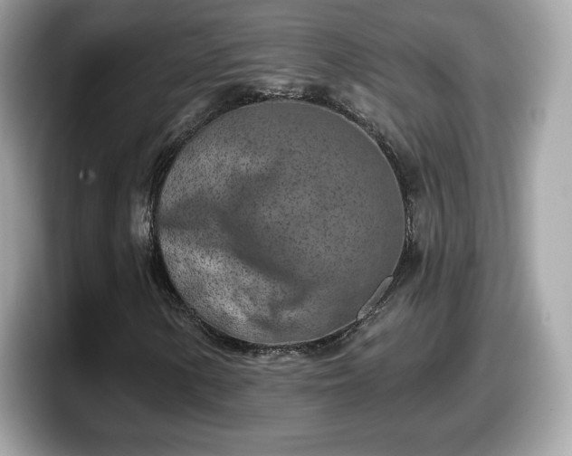 X0000098111154200804111049