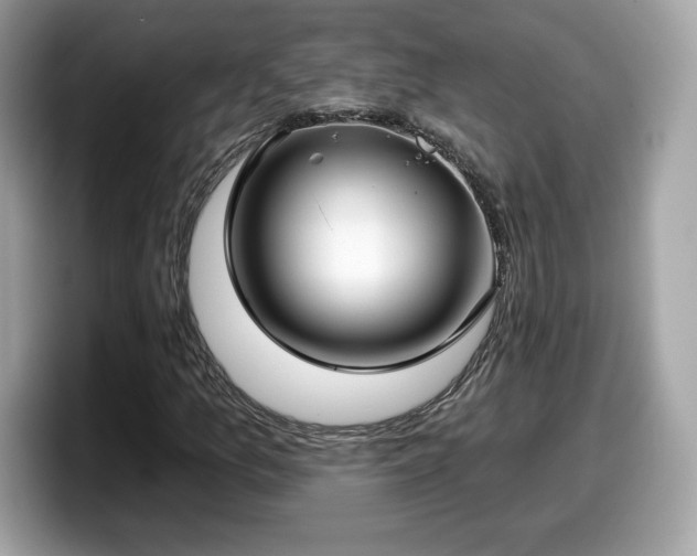 X0000098111157200804111049