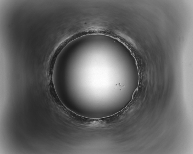 X0000098111160200804111049