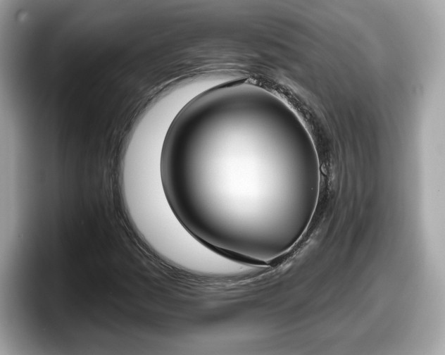 X0000098111161200804111049