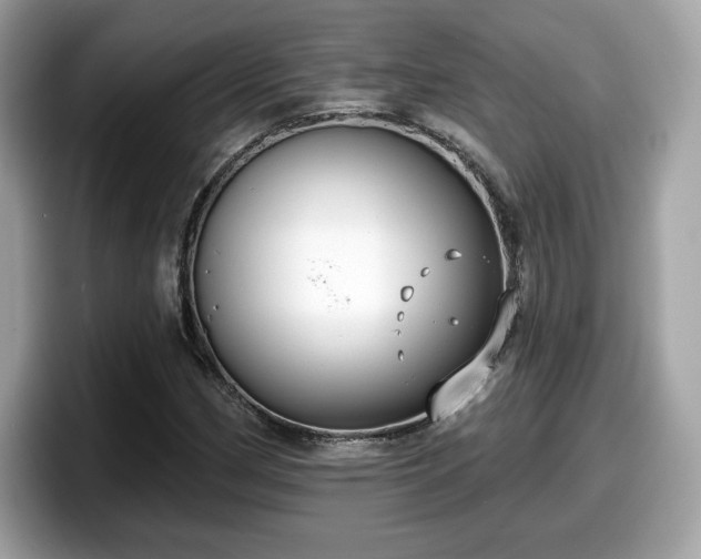 X0000098111162200804111049