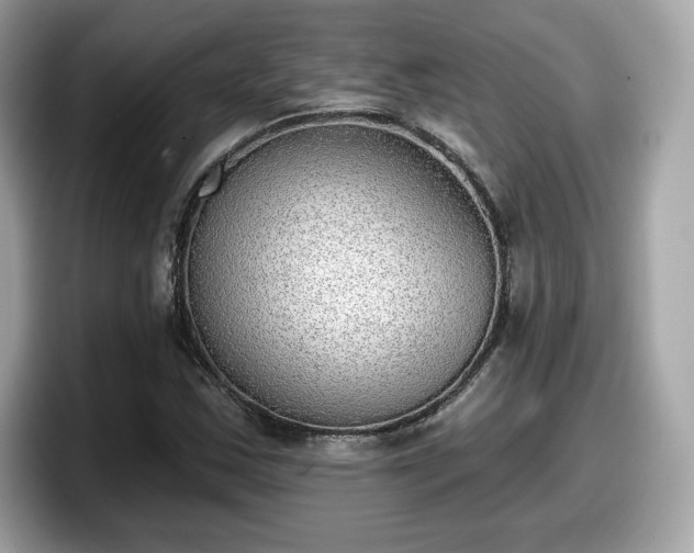 X0000098111163200804111049