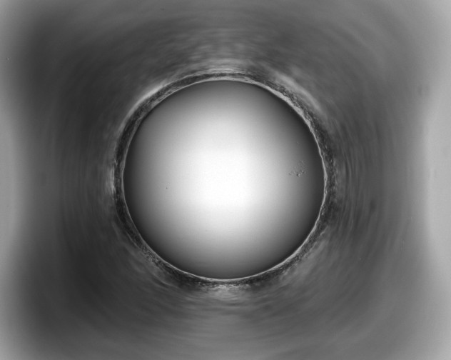 X0000098111166200804111049
