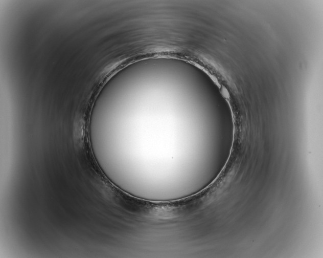 X0000098111169200804111049