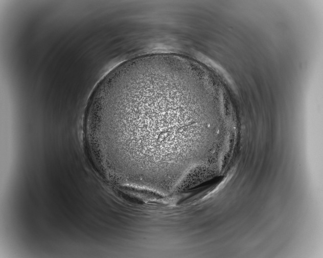 X0000098111170200804111049