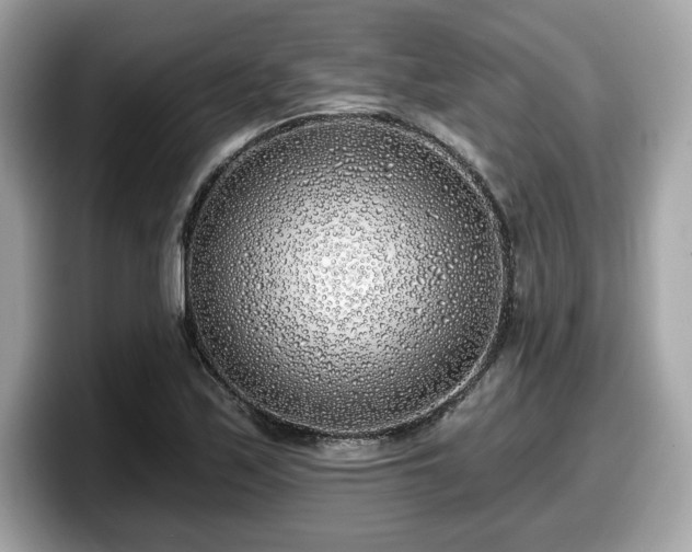X0000098111171200804111049