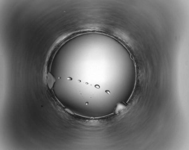 X0000098111172200804111049