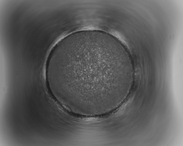 X0000098111173200804111049