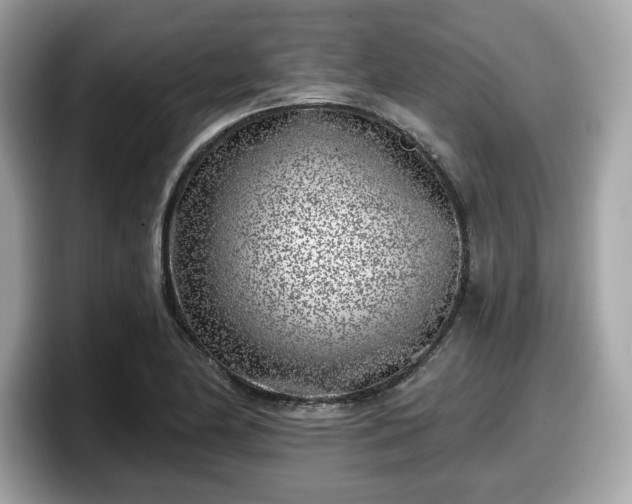 X0000098111174200804111049