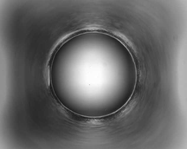 X0000098111175200804111049