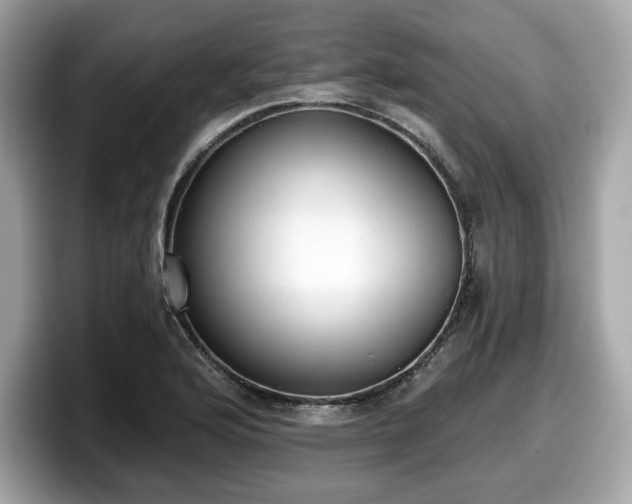 X0000098111176200804111049