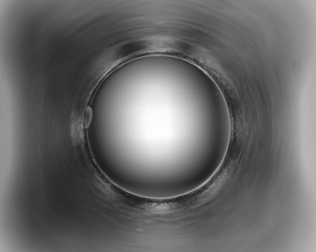 X0000098111177200804111049