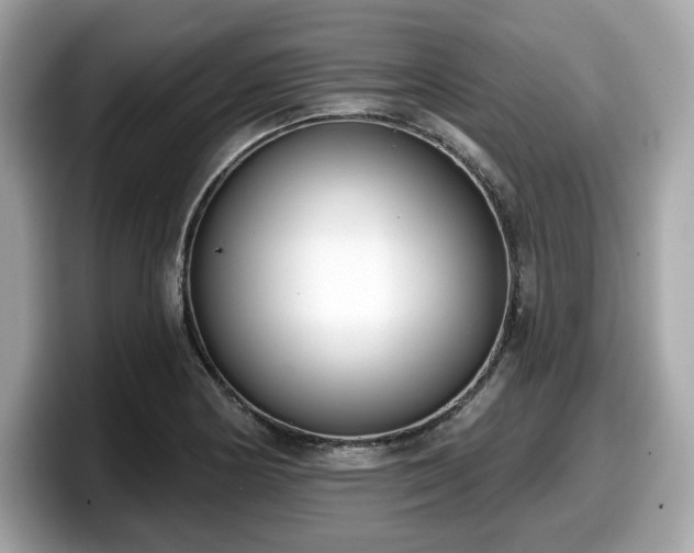 X0000098111178200804111049