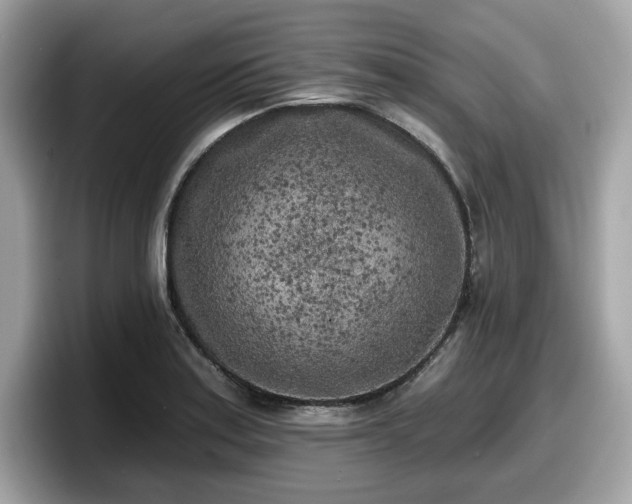 X0000098111179200804111049